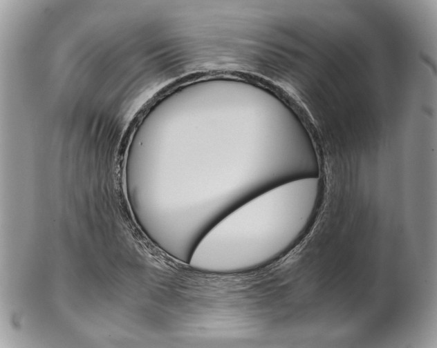 X0000102840879200808181022