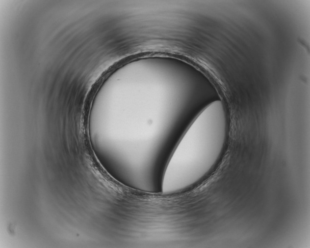 X0000102840880200808181022