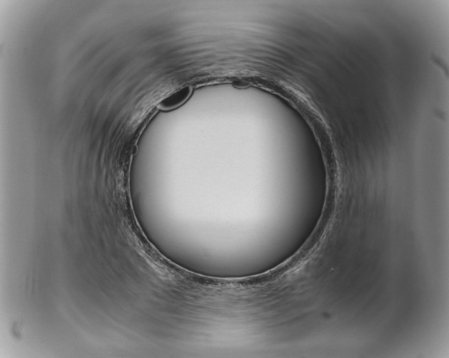 X0000102840881200808181022