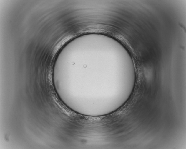 X0000102840882200808181022