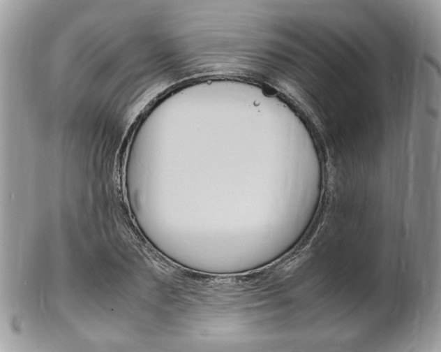 X0000102840883200808181022