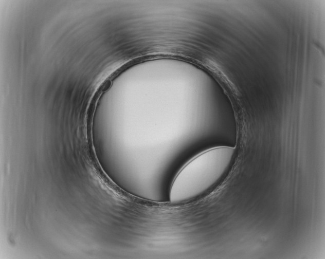 X0000102840884200808181022