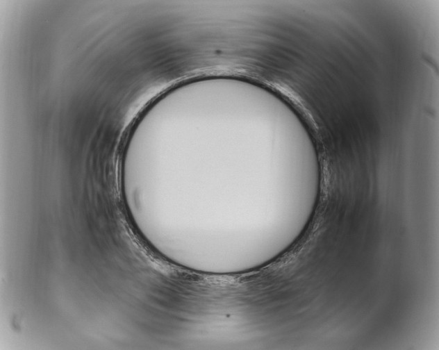 X0000102840886200808181022