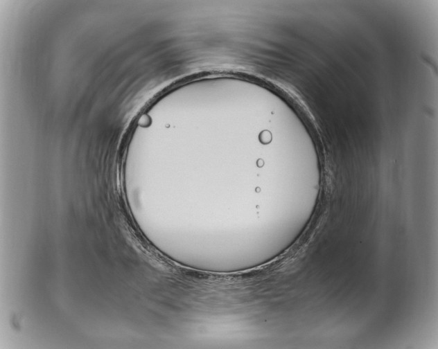 X0000102840887200808181022