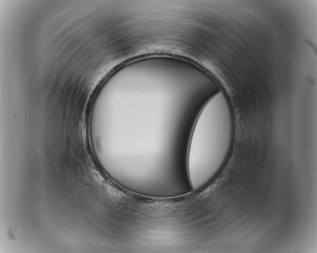 X0000102840888200808181022