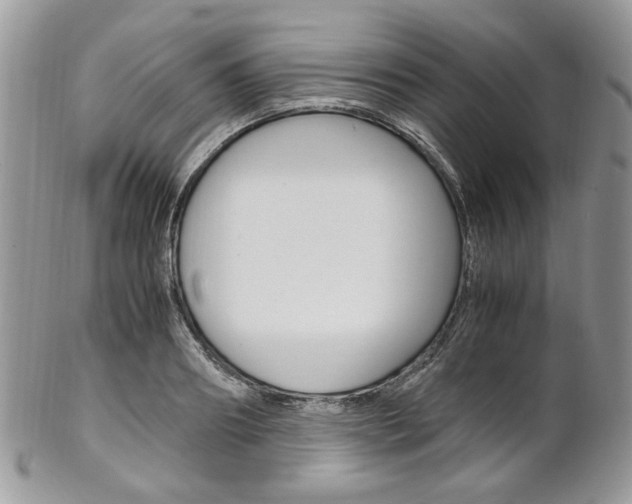 X0000102840890200808181022