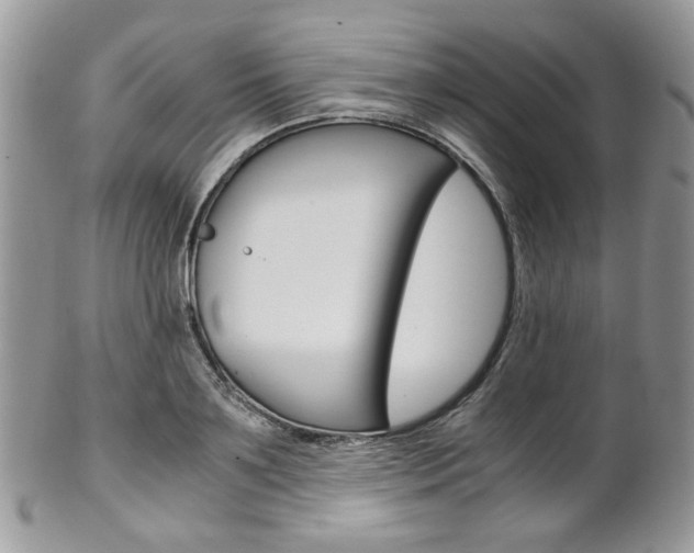 X0000102840891200808181022