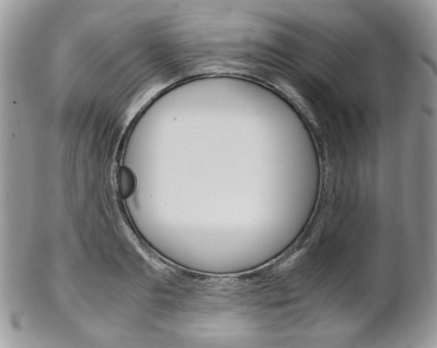 X0000102840893200808181022