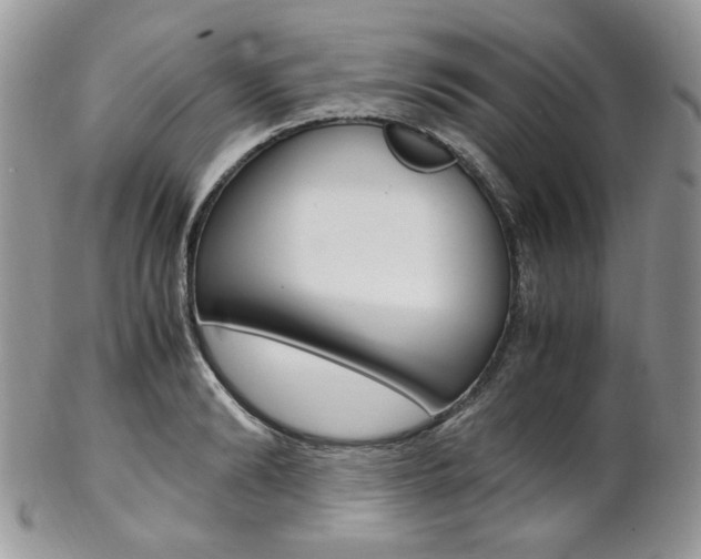 X0000102840894200808181022