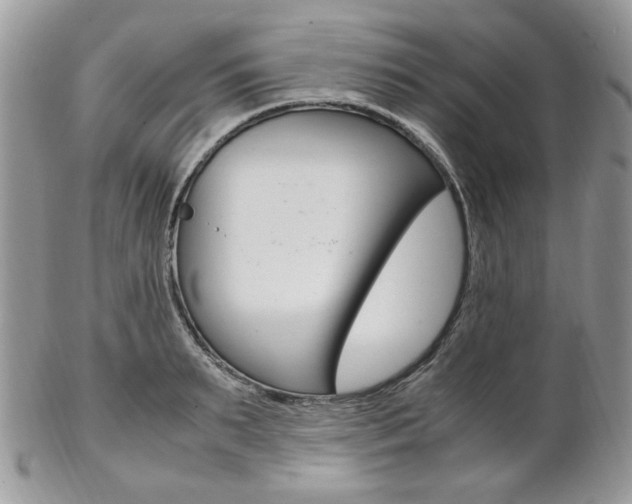 X0000102840895200808181022