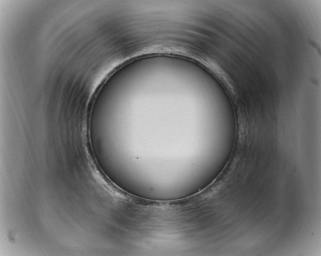 X0000102840896200808181022
