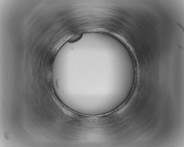 X0000102840897200808181022