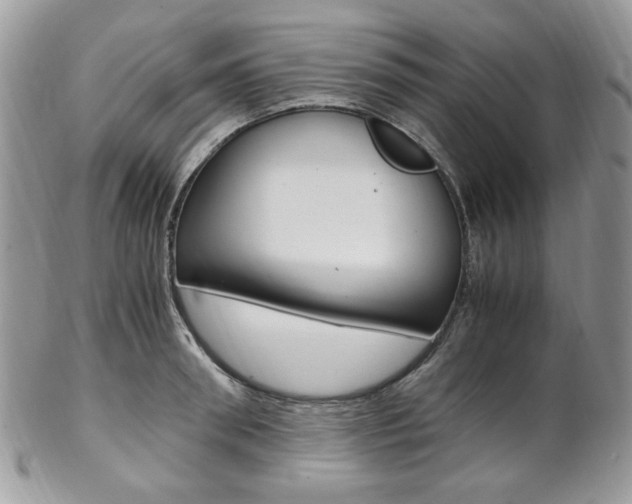 X0000102840898200808181022