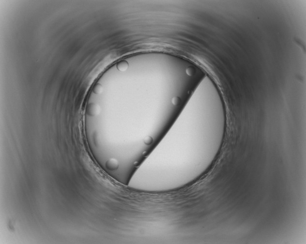 X0000102840899200808181022