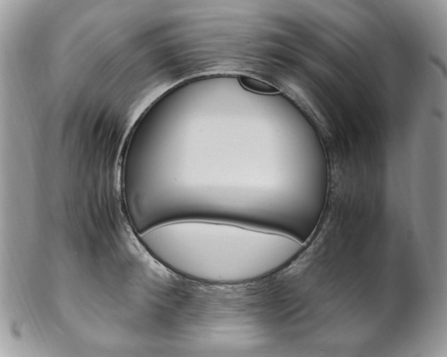 X0000102840900200808181022