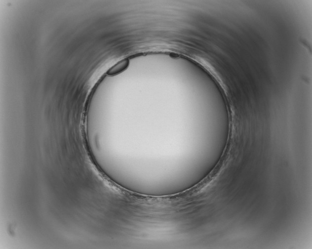 X0000102840901200808181022
