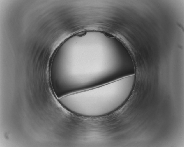 X0000102840902200808181022