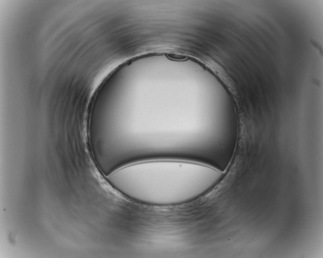 X0000102840904200808181022