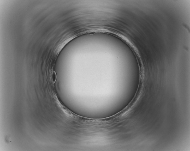 X0000102840905200808181022