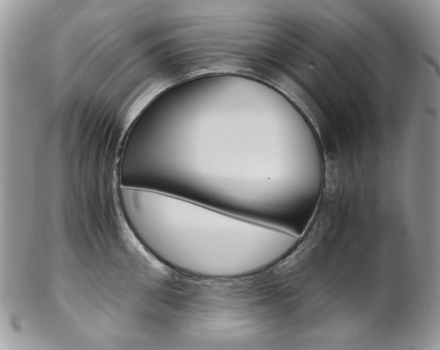 X0000102840906200808181022