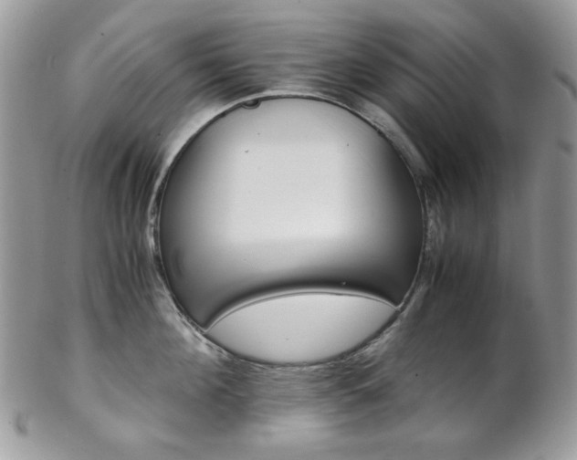 X0000102840908200808181022