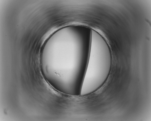 X0000102840910200808181022
