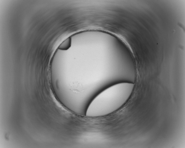 X0000102840911200808181022