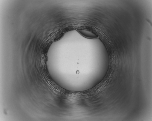 X0000102840914200808181021