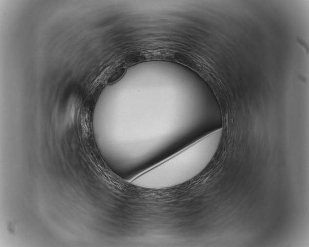 X0000102840915200808181021