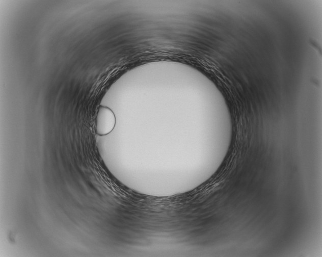 X0000102840916200808181021