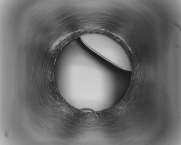 X0000102840919200808181021