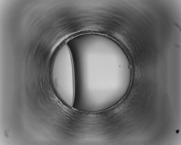 X0000102840923200808181021