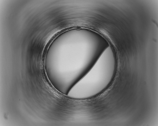 X0000102840924200808181021