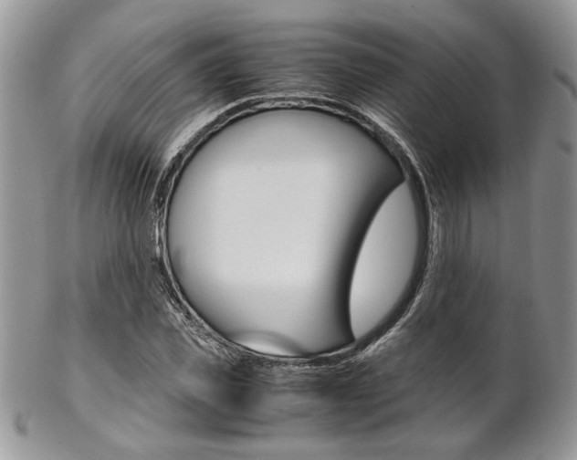 X0000102840925200808181021