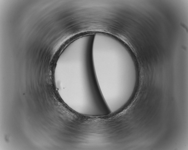 X0000102840926200808181021