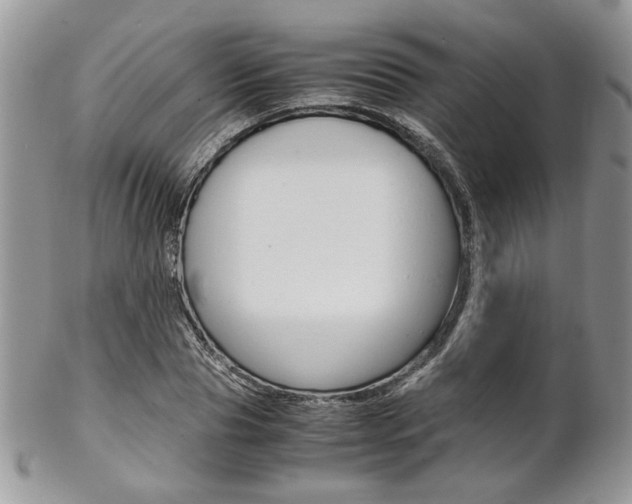 X0000102840929200808181022