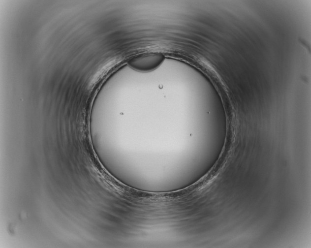 X0000102840930200808181022