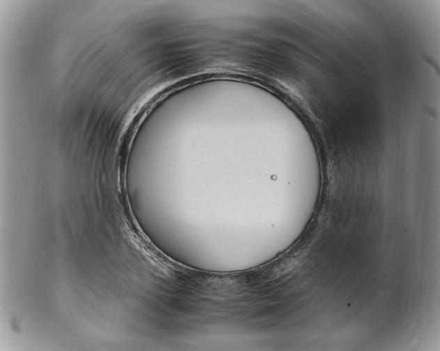 X0000102840931200808181022