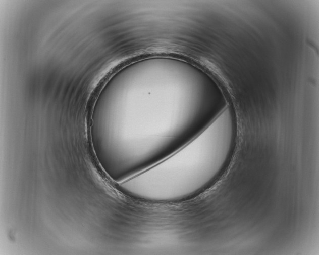 X0000102840934200808181022