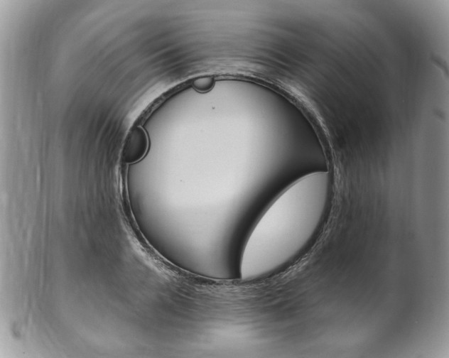 X0000102840936200808181022