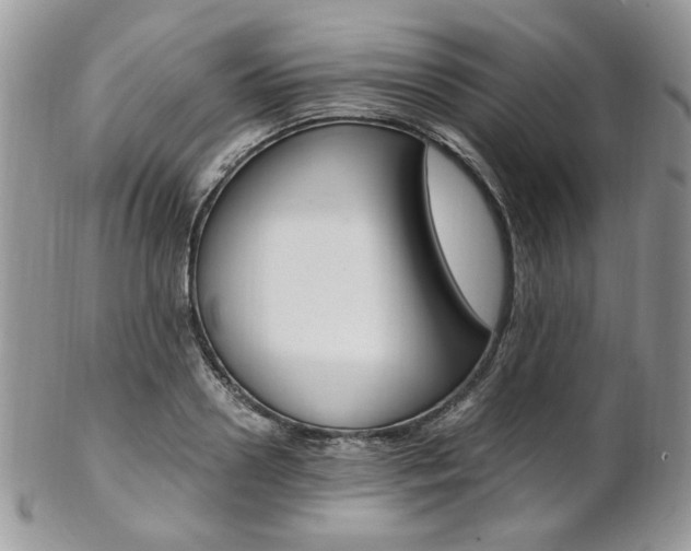 X0000102840938200808181022