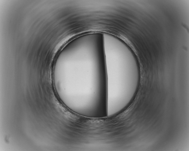 X0000102840939200808181022