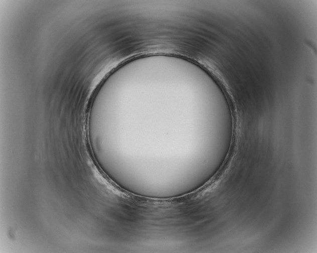 X0000102840941200808181022