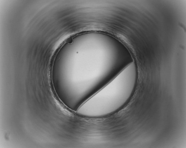 X0000102840942200808181022