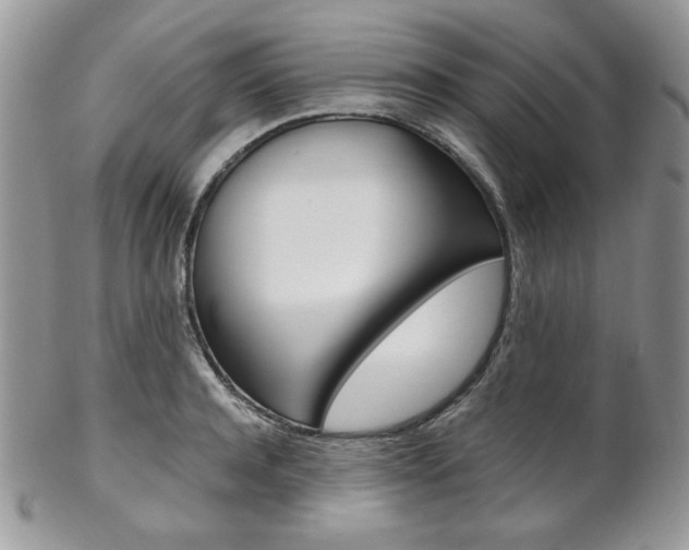 X0000102840944200808181022