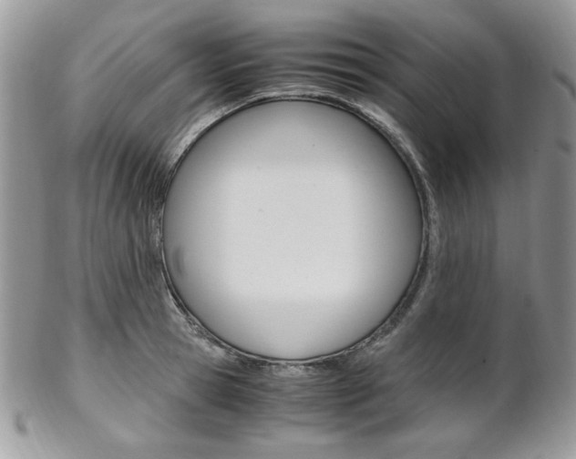 X0000102840945200808181022