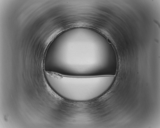 X0000102840946200808181022