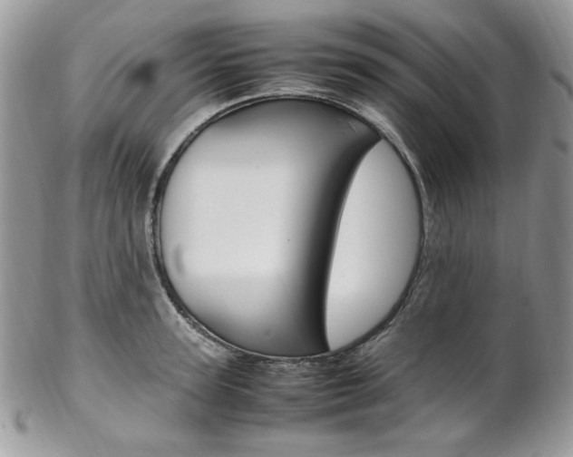 X0000102840947200808181022