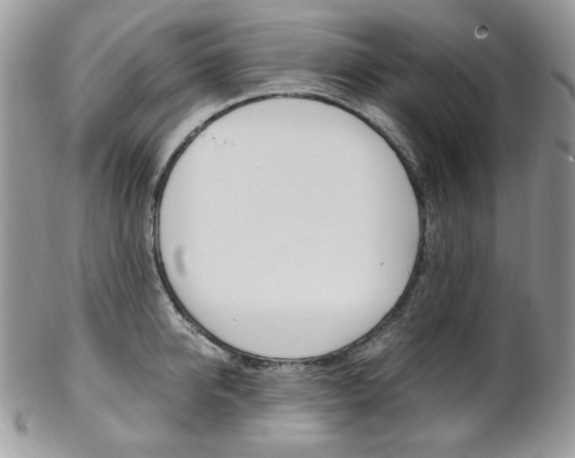 X0000102840950200808181022