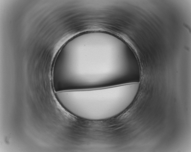 X0000102840951200808181022